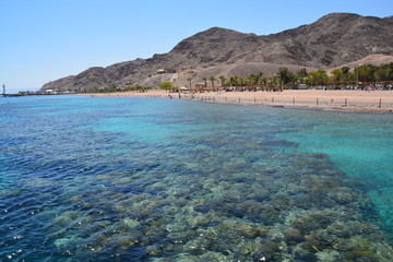 Fototapeta premium Plage Paradisiaque Mer Rouge Coraux snorkeling Eilat Israël