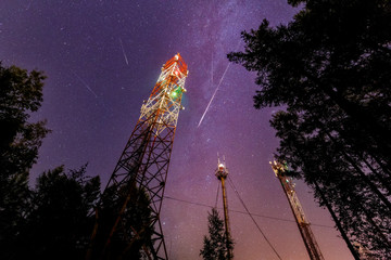 A view of the stars of the Milky Way with a pine trees in the foreground. Perseid Meteor Shower in...