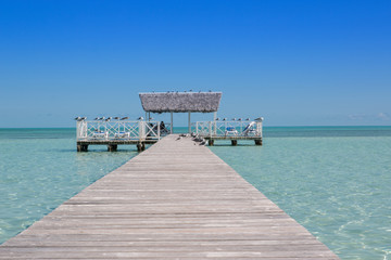 Plage paradisiaque