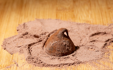 Chocolate truffles and cocoa powder on the table. Close up.
