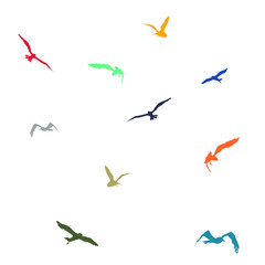 Set of blue, yellow, purple, cyan and red seagulls vector illustration over white background - 345111261