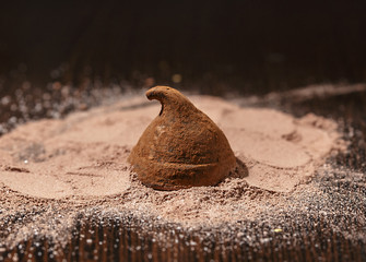 Chocolate truffles and cocoa powder on the table. Close up.