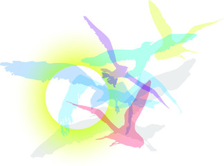 Set of blue, yellow, purple, cyan and red seagulls with a sunset vector illustration over white background