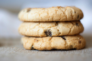 baked cookies with chocolate chips