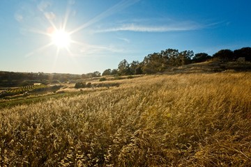 Peaceful meadows on a sloping hill on the outskirts of Rabat in Malta