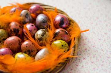 colorful easter eggs