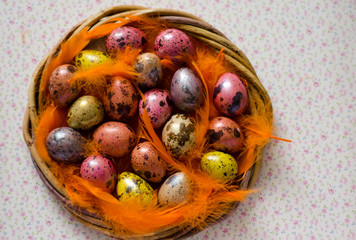 easter eggs in a nest