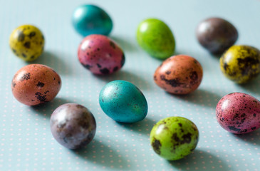 easter eggs in a nest