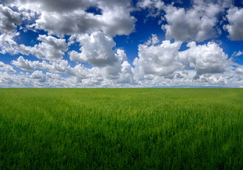 Green grass field on big hills and blue sky with clouds