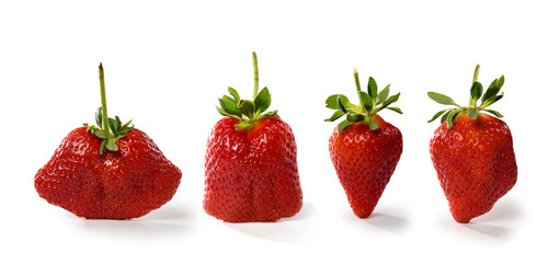 Fragole su sfondo bianco