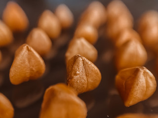 
macro photo of buckwheat groats spread on a mirror