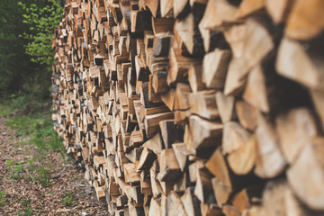 Holzstapel im Wald