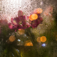 Flowers and light garlands behind the glass