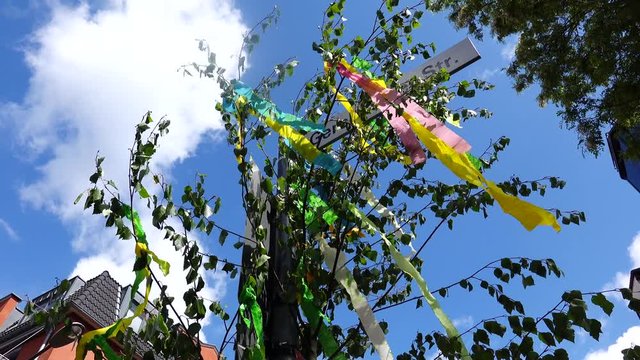 Traditional first of May tree with ribbons