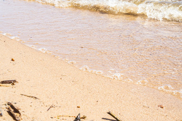 Golden sandy seashore with transparent wave