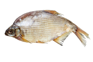 Dry fish isolated on white background.