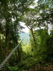 Obraz premium Zipline adventure in the jungle of Costa Rica