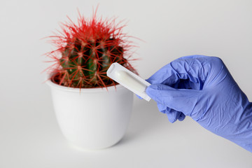 Doctor's hand with hemorrhoidal suppository and cactus on light background