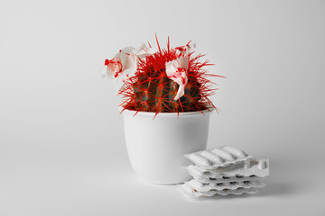 Cactus and hemorrhoidal suppositories on light background