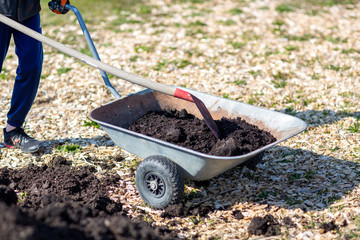Gartenschubkarre mit Gartenerde und Schaufel auf dem Feld