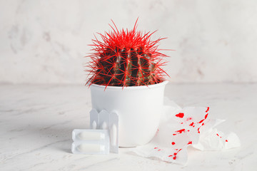 Cactus, toilet paper with blood spots and hemorrhoidal suppositories on light background