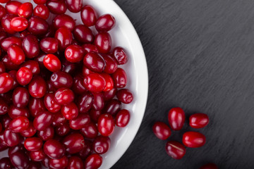 raw dogwood on a black background