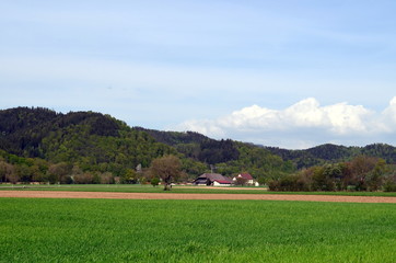Fototapeta na wymiar Bauernhof im Dreisamtal