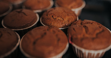 Chocolate muffins bakery. Brownie cupcakes on the baking pan. Baking at home, home bakery.