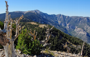 Spring Mountains National Recreation Area, Nevada, USA