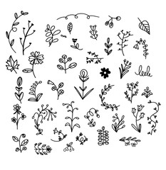 Simple vector plants pattern on white background.