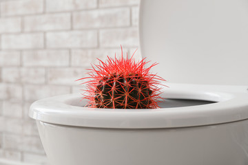 Toilet bowl with cactus near brick wall. Hemorrhoids concept