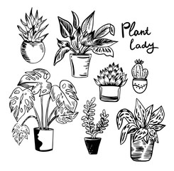 Vector illustration with house plants in pots in black and white colors.