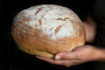 Hands holding fresh round bread.