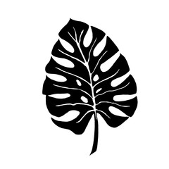 Tropical leaf silhouettes isolated on white background. Monstera. Vector illustration. © Анна Комелева