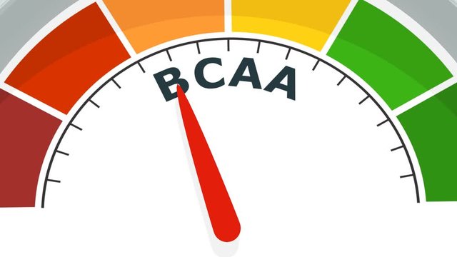 Gradient scale. BCAA level measuring device. Sign tachometer, speedometer, indicators. Infographic gauge element.