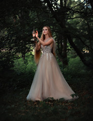 Fototapeta premium long haired blonde girl in white dress with lantern