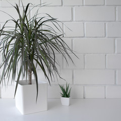 Interior. Decor for the home. Homemade flowers in white pots against a white brick wall.
