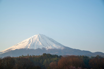 冬の富士山
