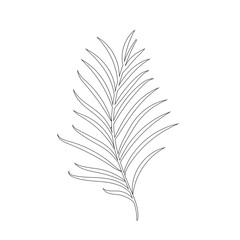 Tropical leaf silhouettes isolated on white background. Chamaedorea. Black outline vector illustration.