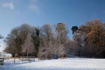 a beautiful snow covered landscape scene with fields and trees and blue sky