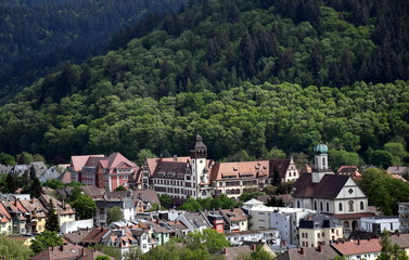 Blick auf Freiburg Wiehre