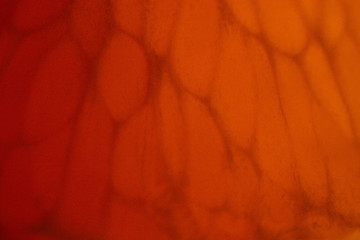 abstract orange background