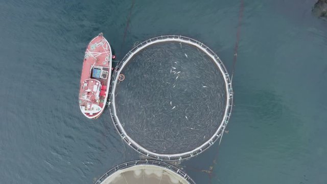 aerial video of Fish farm located in northern Norway. Fishing season traditionally starts every winter. Cod and salmon commercial fishery. 