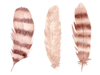 Tribal bird feathers set. Hand drawn boho style illustration.