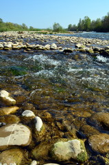 Isteiner Schwellen im Frühling