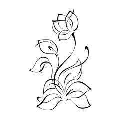 ornament 1130. one stylized flower Bud on a curved stem with leaves and curls in black lines on a white background