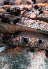 Mouldy (moldy) bread. Close-up.