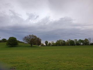 Park, See, Naturfotografie