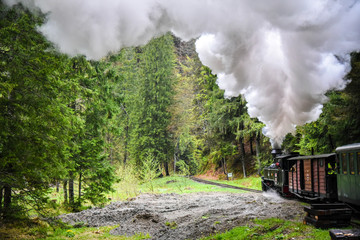Fototapeta na wymiar By small train through the mountainous areas of Maramures, Romania