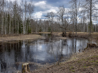 landscape with a small wild river, river banks covered with dry, old grass and fallen trees